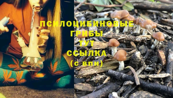 гашишное масло Беломорск