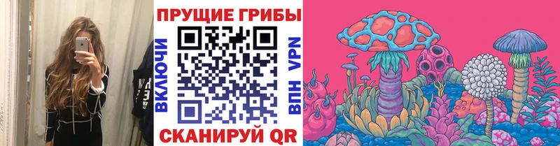 Купить закладки  Лихославль  Галлюциногенные грибы Magic Shrooms 